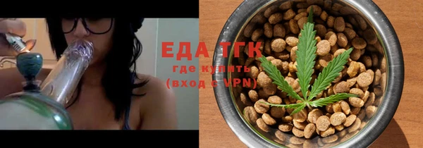 индика Аркадак