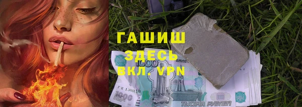 индика Аркадак