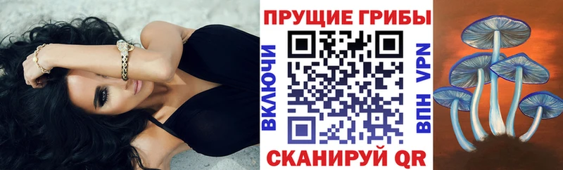 Псилоцибиновые грибы ЛСД  Голицыно 